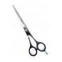 Professional Hairdressing Scissors Barber Salon Hair Cutting Shears 6"