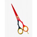 Professional Hairdressing Scissors Razor Edge Salon Hair Cutting Scissors 6.5" 